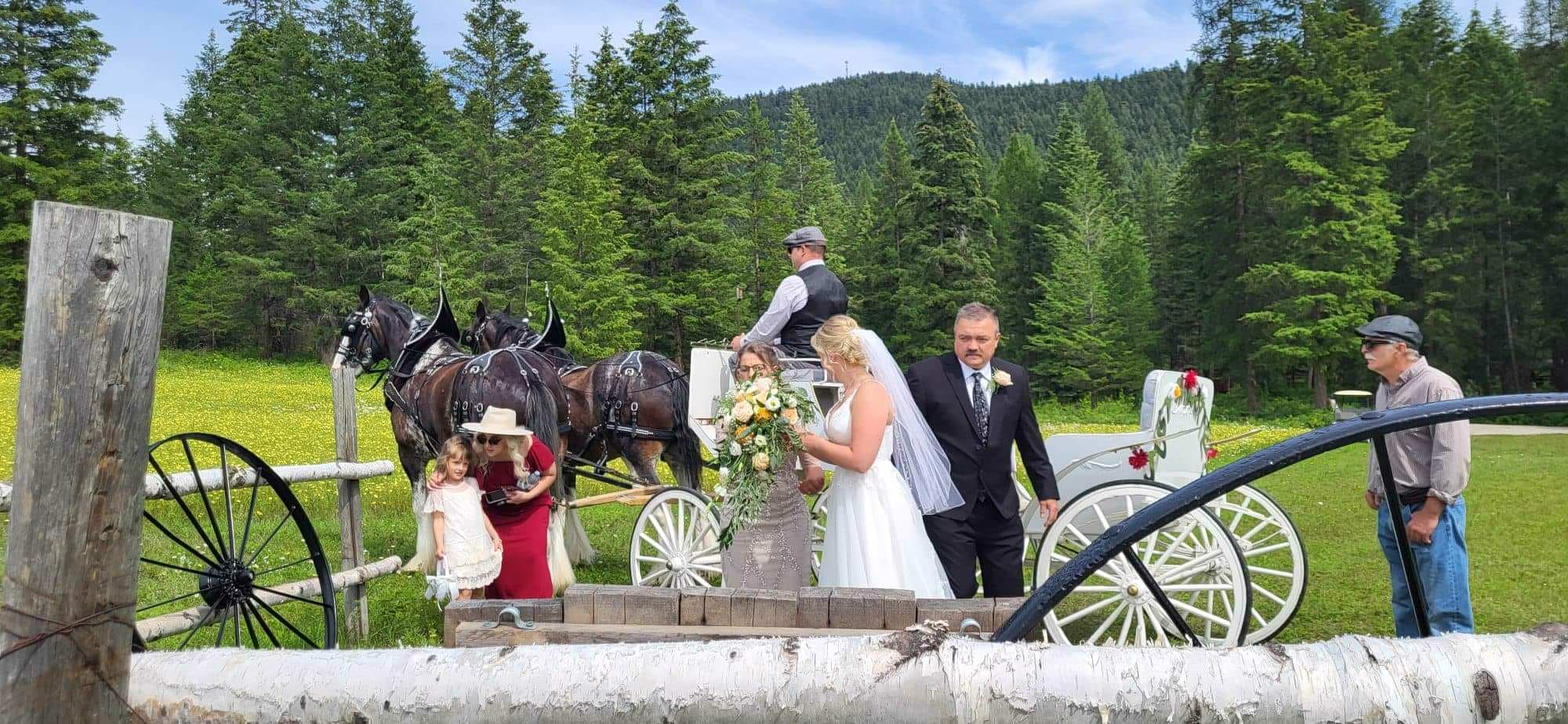 Okanagan wedding venue, horses